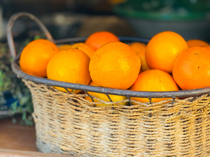 "Sunlit Citrus" Fine Art Photography