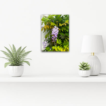 "A Symphony in Purple and Green" Fine Art Photography