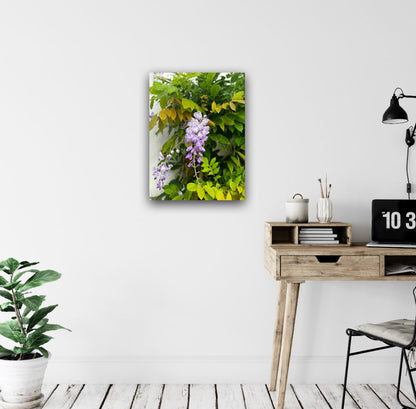 "A Symphony in Purple and Green" Fine Art Photography