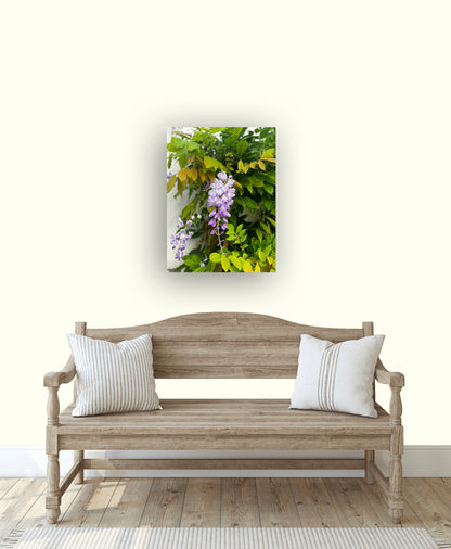 "A Symphony in Purple and Green" Fine Art Photography