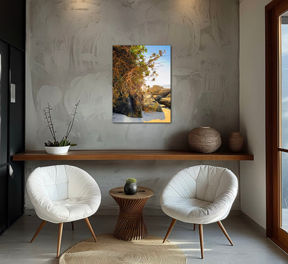 "Tangled Shores" Fine Art Photography