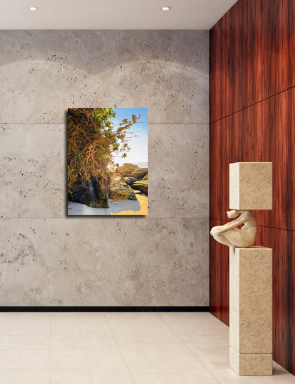 "Tangled Shores" Fine Art Photography
