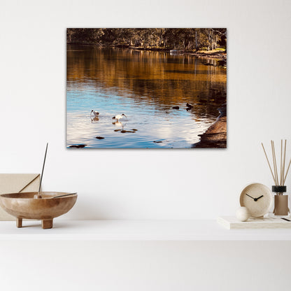 "Songs of the Shore" Fine Art Photography