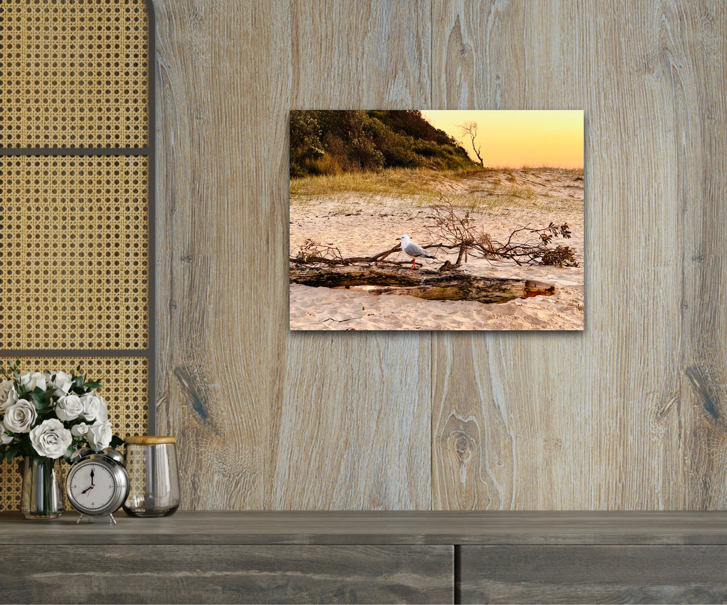 "Solitude on Driftwood" Fine Art Photography
