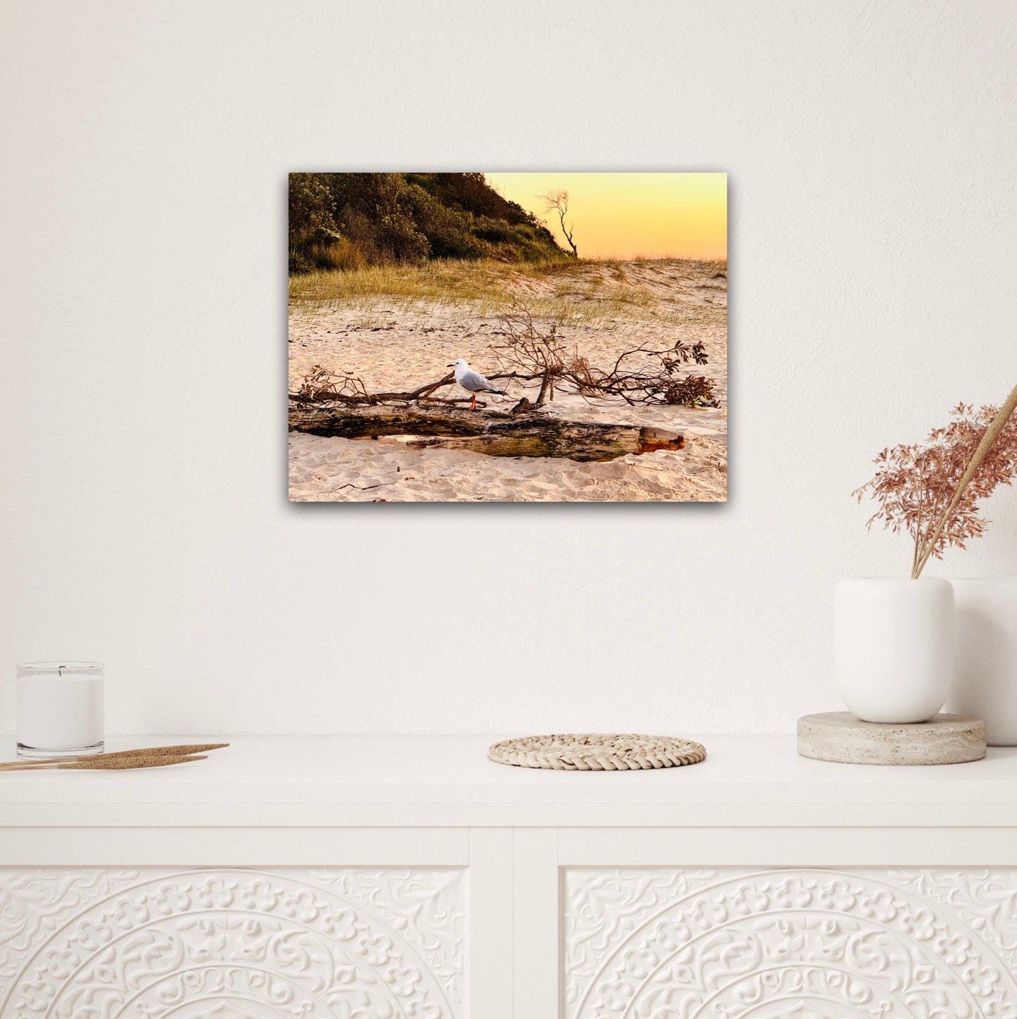 "Solitude on Driftwood" Fine Art Photography
