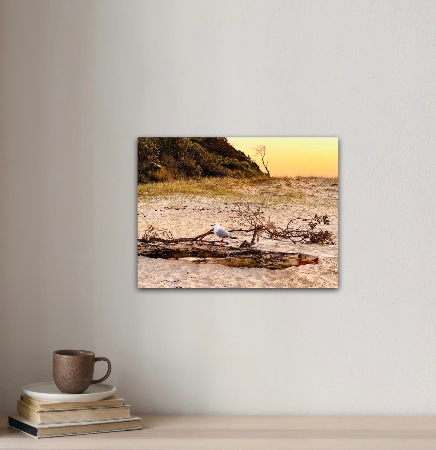 "Solitude on Driftwood" Fine Art Photography