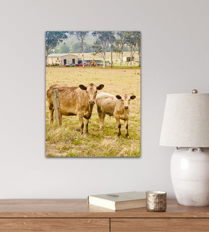 "Country Companions" Fine Art Photography