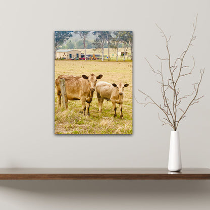 "Country Companions" Fine Art Photography