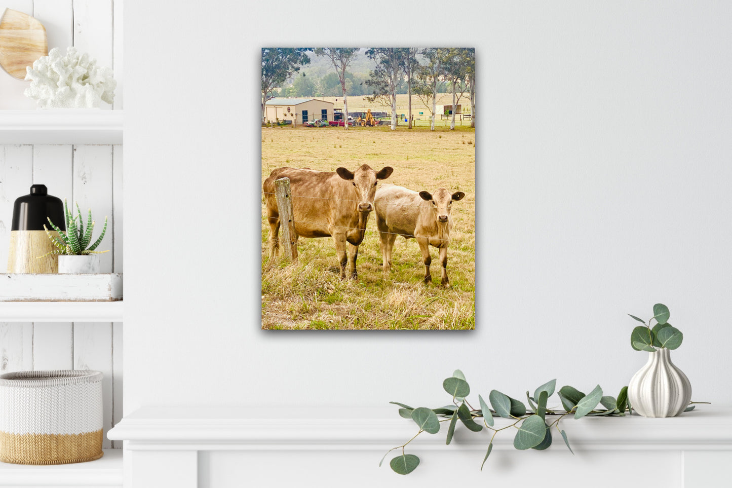 "Country Companions" Fine Art Photography