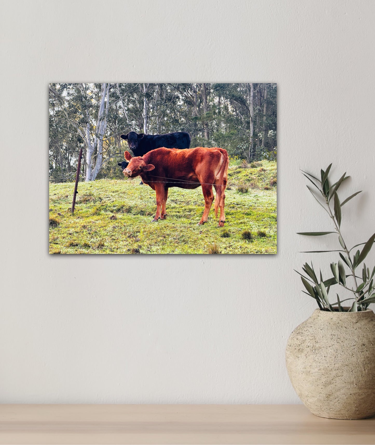 "Rural Curiosity" Fine Art Photography