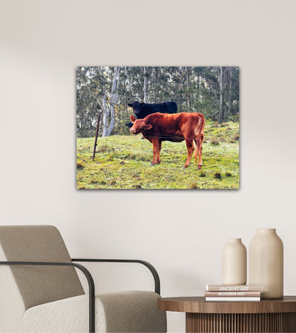 "Rural Curiosity" Fine Art Photography