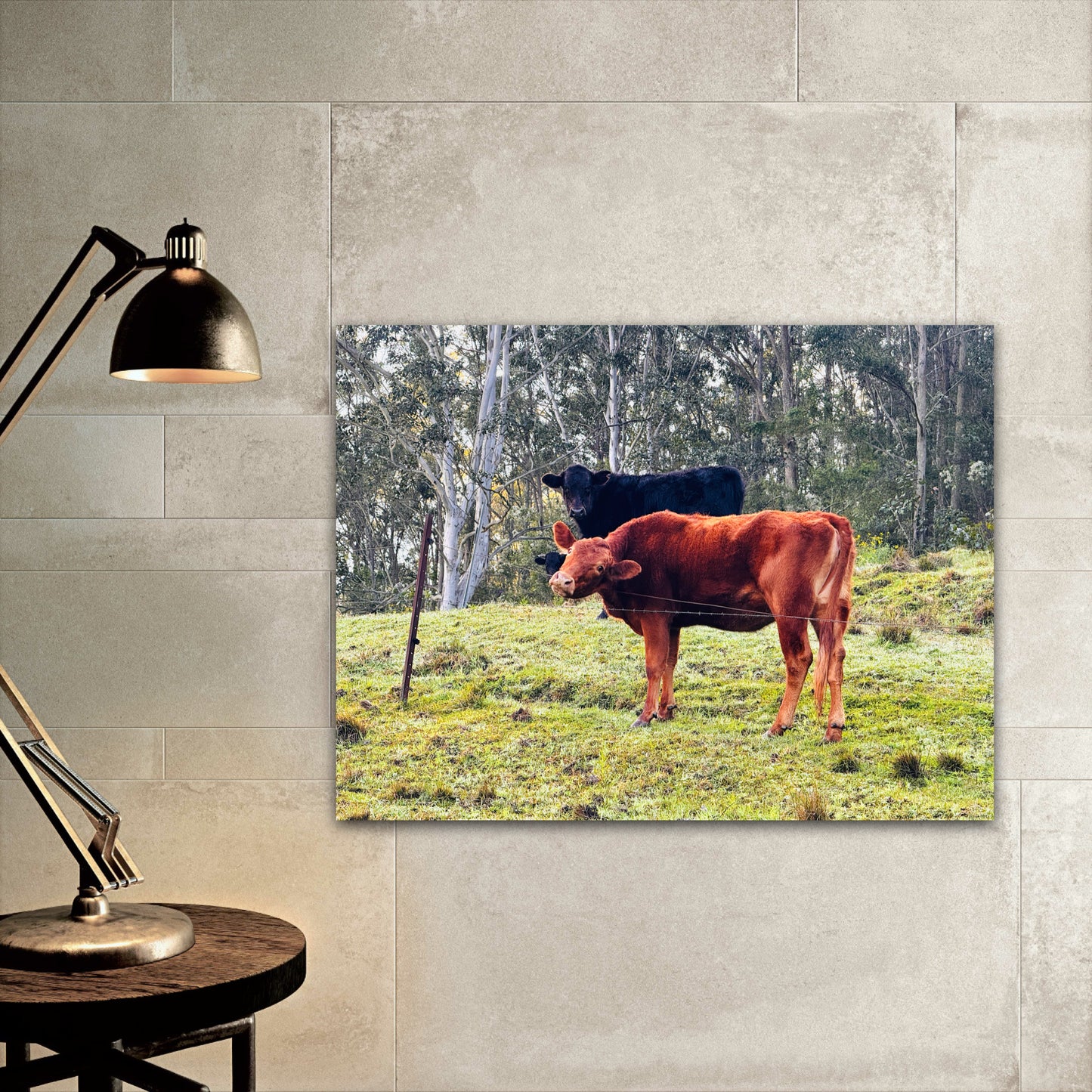 "Rural Curiosity" Fine Art Photography