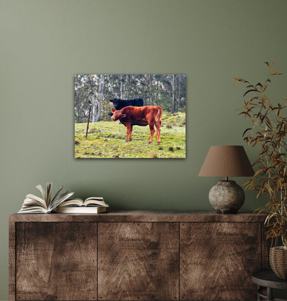 "Rural Curiosity" Fine Art Photography