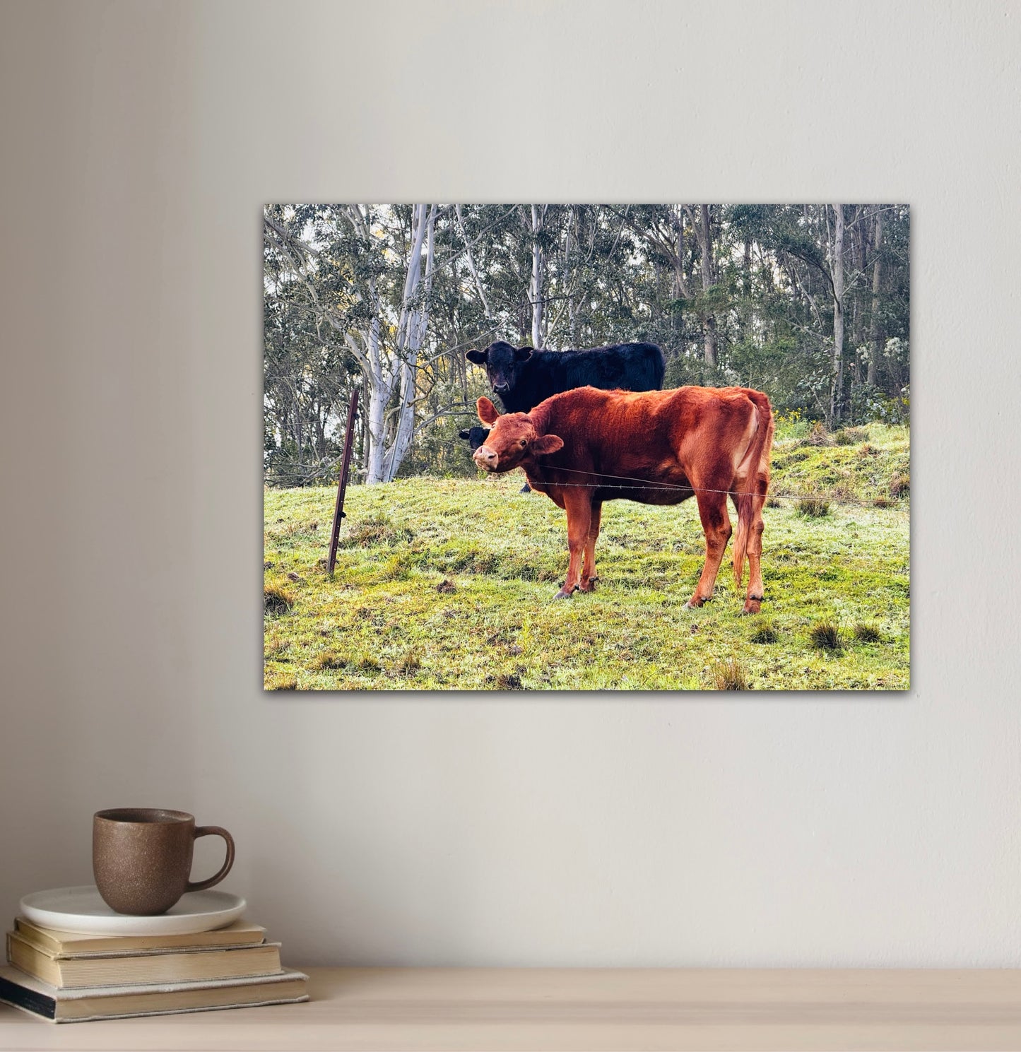 "Rural Curiosity" Fine Art Photography
