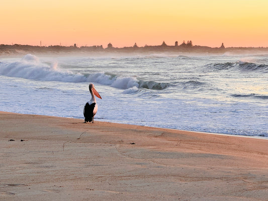 "Contemplation by the Sea" Fine Art Photography