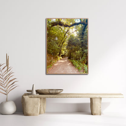 "Pathway to Tranquility" Fine Art Photography