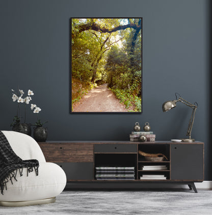 "Pathway to Tranquility" Fine Art Photography