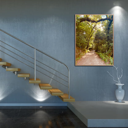 "Pathway to Tranquility" Fine Art Photography