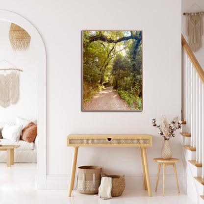 "Pathway to Tranquility" Fine Art Photography