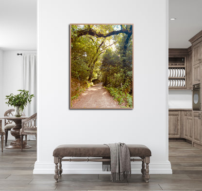"Pathway to Tranquility" Fine Art Photography