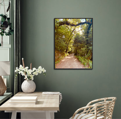 "Pathway to Tranquility" Fine Art Photography