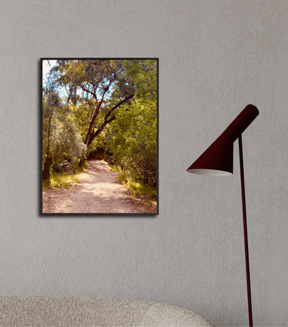 "Into the Green" Fine Art Photography