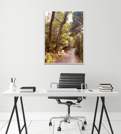 "Serenity Among the Trees" Fine Art Photography
