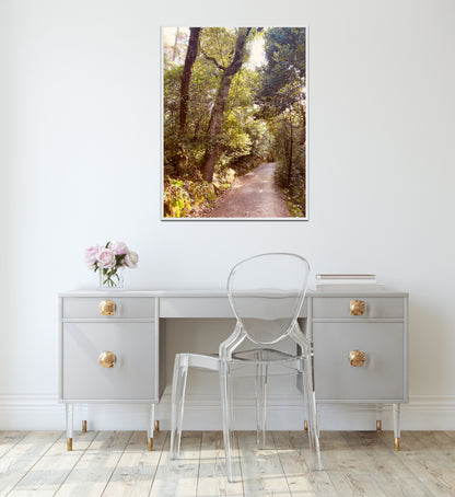 "Serenity Among the Trees" Fine Art Photography