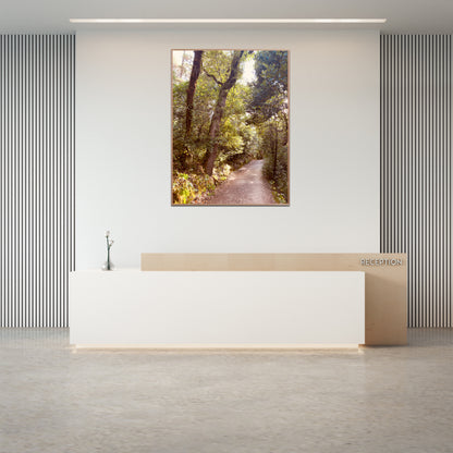 "Serenity Among the Trees" Fine Art Photography