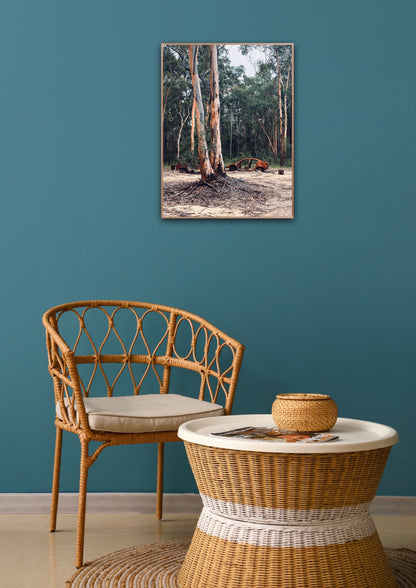 "Nature's Silent Witness" Fine Art Photography