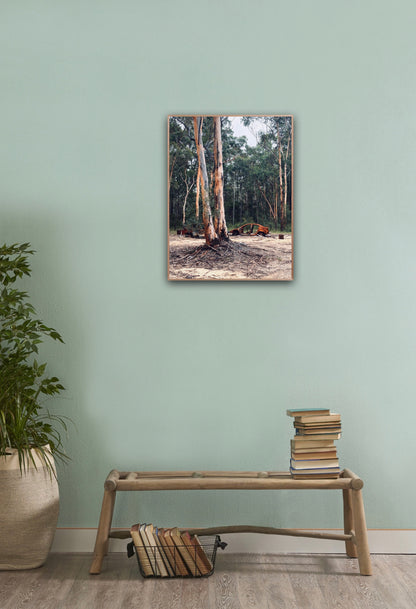 "Nature's Silent Witness" Fine Art Photography