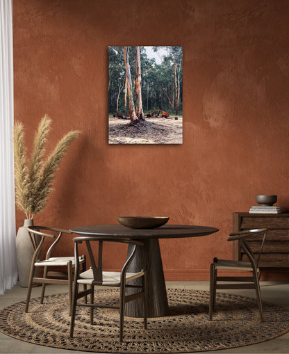 "Nature's Silent Witness" Fine Art Photography