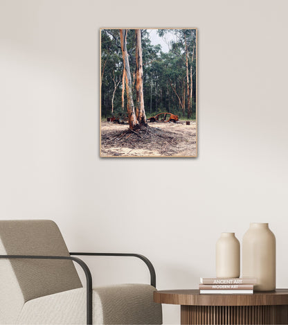 "Nature's Silent Witness" Fine Art Photography