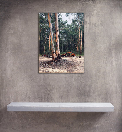 "Nature's Silent Witness" Fine Art Photography