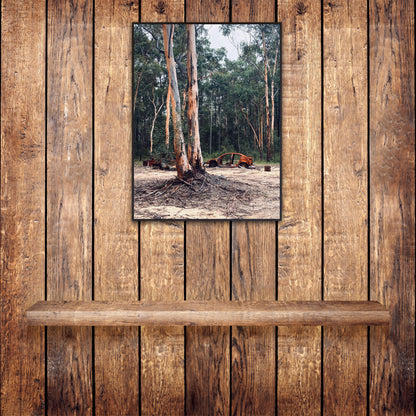 "Nature's Silent Witness" Fine Art Photography
