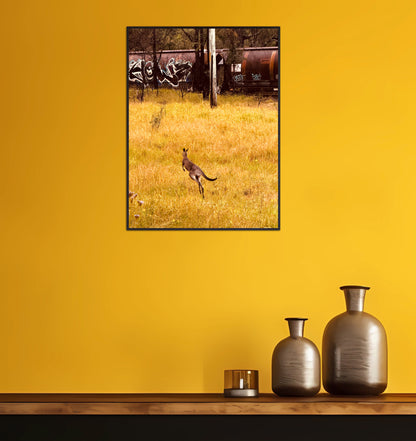 "Silent Tracks, Wild Steps: Kangaroo and the Forgotten Train" Fine Art Photography