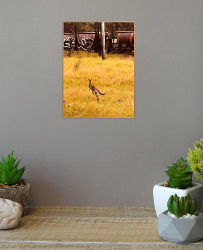 "Silent Tracks, Wild Steps: Kangaroo and the Forgotten Train" Fine Art Photography