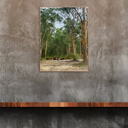 "Gum Tree Guardians of Rust" Fine Art Photography
