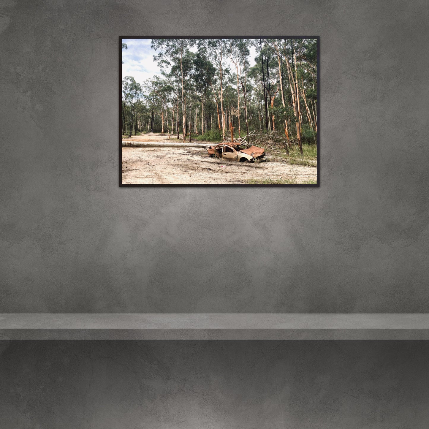 "Silent Rust, Fallen Wood" Fine Art Photography