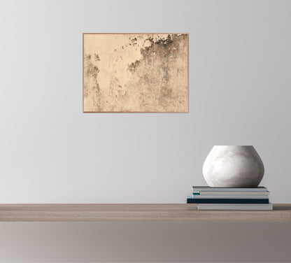 "Subtle Harmony" Fine Art Photography