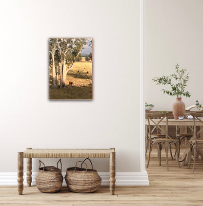 "Under the Aussie Sky" Fine Art Photography