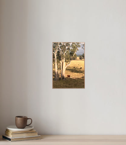 "Under the Aussie Sky" Fine Art Photography
