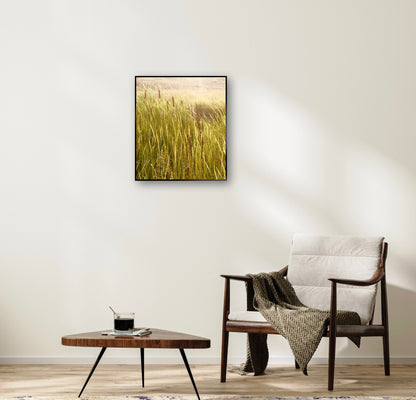 "A Dance in the Wilderness" Fine Art Photography