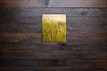 "A Dance in the Wilderness" Fine Art Photography