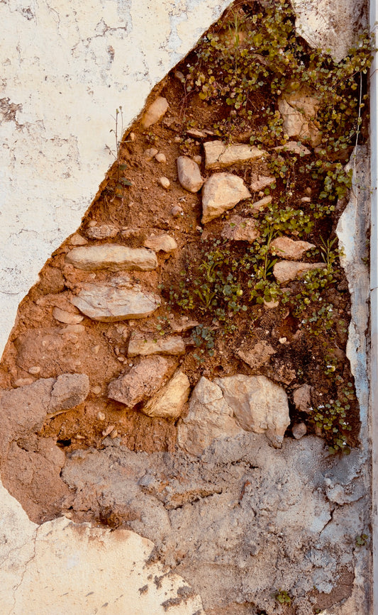 "Exposed and Enduring" Fine Art Photography