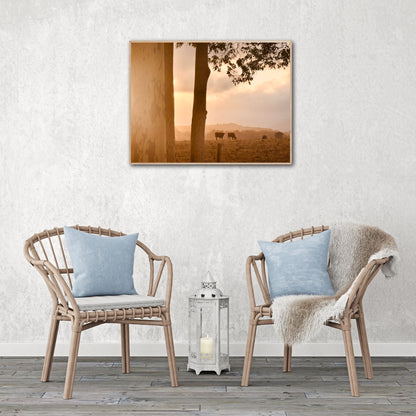 "Peaceful Pastures" - Fine Art Photography