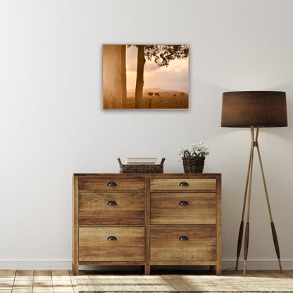 "Peaceful Pastures" - Fine Art Photography