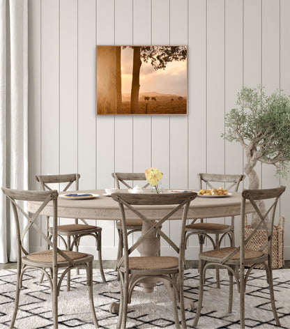 "Peaceful Pastures" - Fine Art Photography