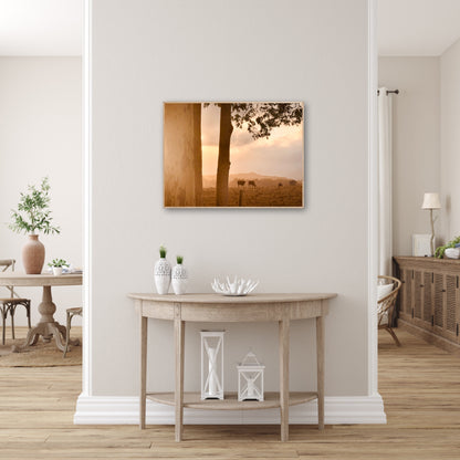 "Peaceful Pastures" - Fine Art Photography