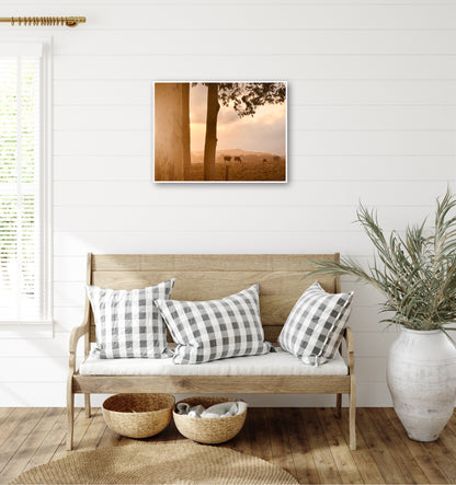 "Peaceful Pastures" - Fine Art Photography